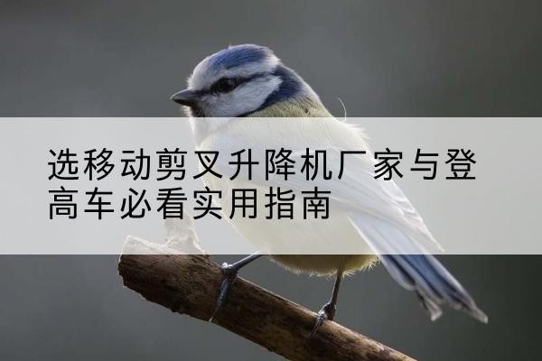 勃利电动升降机厂家-选移动剪叉升降机厂家与登高车必看实用指南