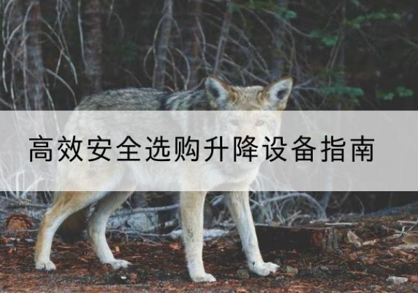 勃利升降货梯厂家推荐-*安全选购升降设备指南