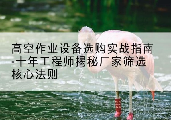 勃利剪叉式升降机厂家-高空作业设备选购实战指南-十年工程师揭秘厂家筛选核心法则